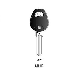 Axa sleutel 45372